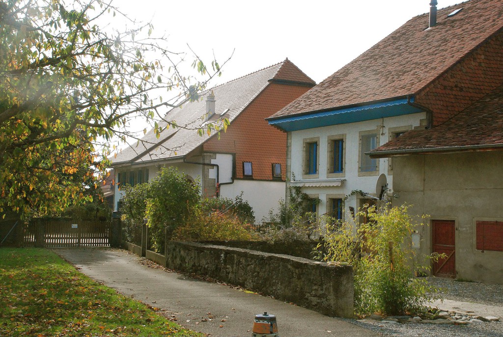 DSC 0168 JPG