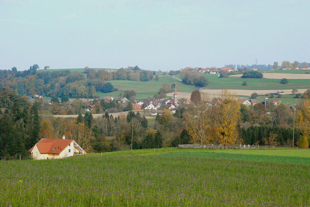 DSC 0195 JPG