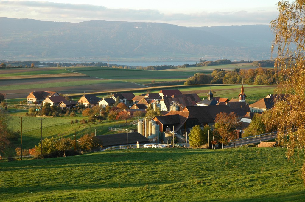 DSC 2079