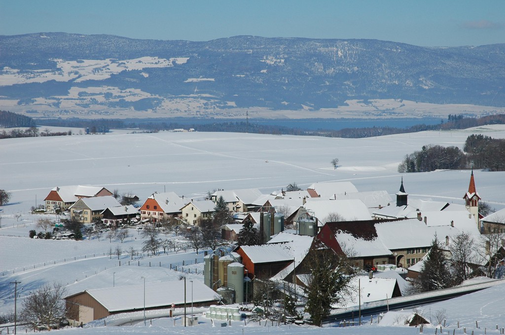 DSC 3465